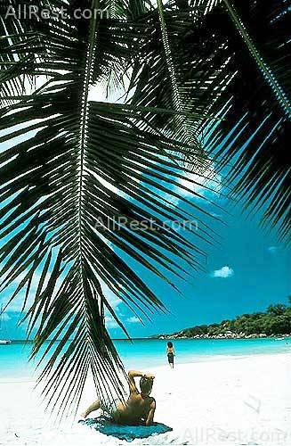 Felicite Private Island Exclusive 12
